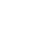 Holistic Vision