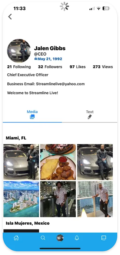 Streamline Live screen