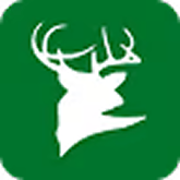 White Tail Almanac