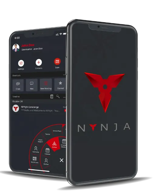 Nynja