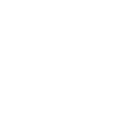 5 Spheres logo