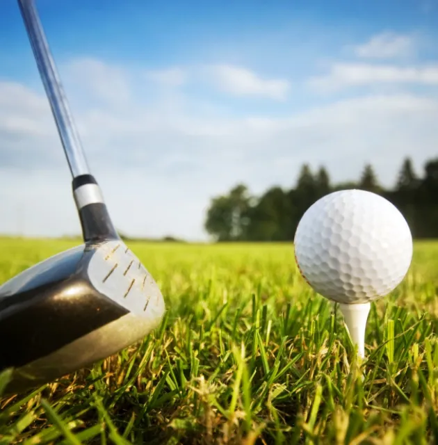 Fit For Golf